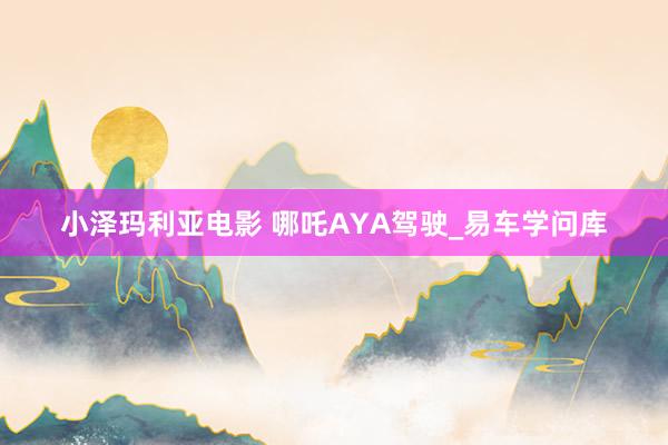 小泽玛利亚电影 哪吒AYA驾驶_易车学问库