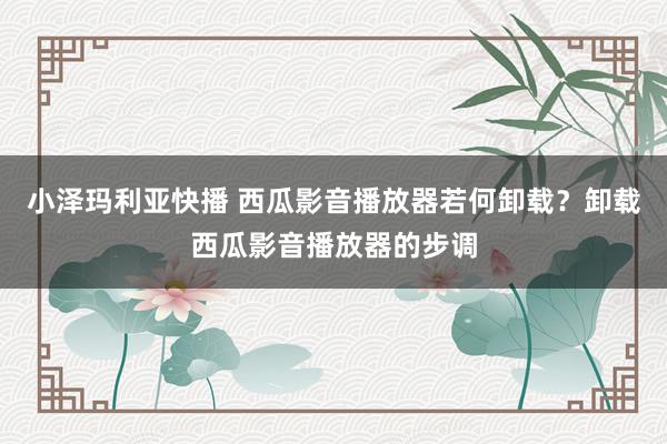 小泽玛利亚快播 西瓜影音播放器若何卸载？卸载西瓜影音播放器的步调