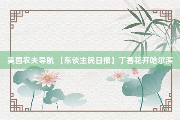 美国农夫导航 【东谈主民日报】丁香花开哈尔滨