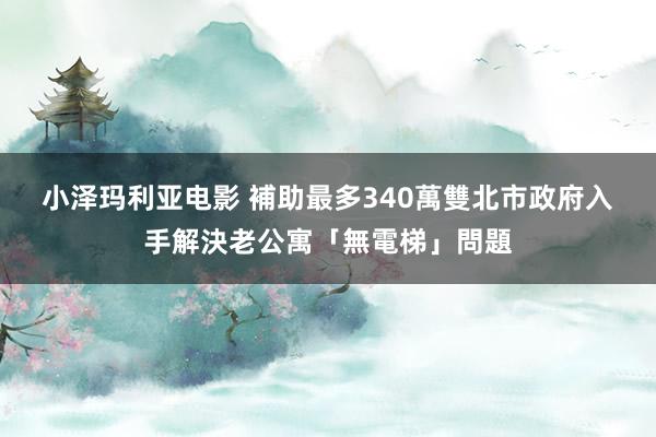 小泽玛利亚电影 補助最多340萬　雙北市政府入手解決老公寓「無電梯」問題