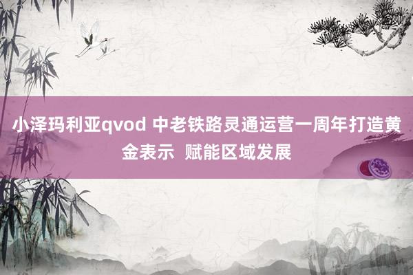 小泽玛利亚qvod 中老铁路灵通运营一周年打造黄金表示  赋能区域发展