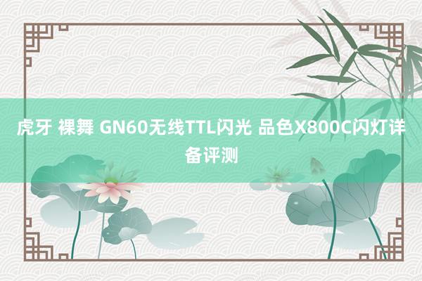 虎牙 裸舞 GN60无线TTL闪光 品色X800C闪灯详备评测