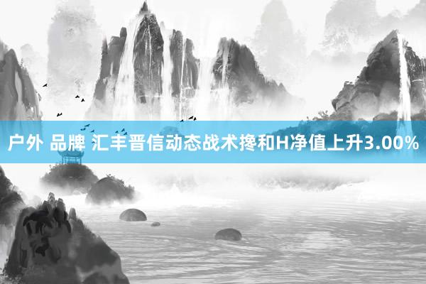 户外 品牌 汇丰晋信动态战术搀和H净值上升3.00%