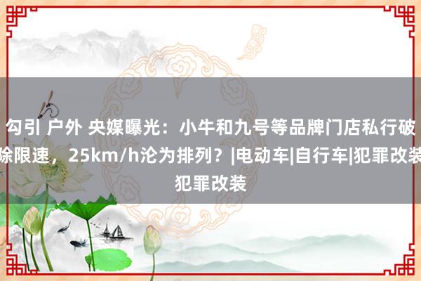 勾引 户外 央媒曝光：小牛和九号等品牌门店私行破除限速，25km/h沦为排列？|电动车|自行车|犯罪改装