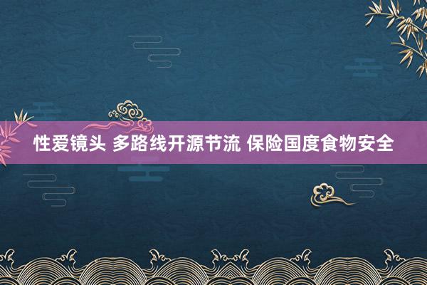 性爱镜头 多路线开源节流 保险国度食物安全