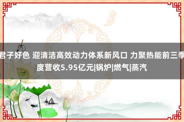 君子好色 迎清洁高效动力体系新风口 力聚热能前三季度营收5.95亿元|锅炉|燃气|蒸汽